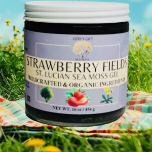 STRAWBERRY FIELDS SEA MOSS GEL